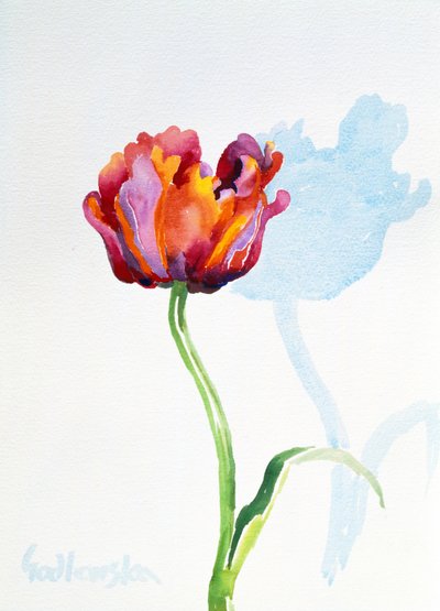 Tulip, 1998 (wc na papíře) (viz také 124446 & 124448) od Izabella Godlewska de Aranda