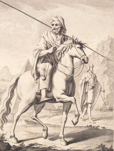 Arab na koni od J.F. Clemens