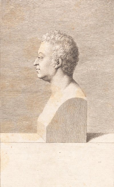 Busta muže od J.F. Clemens