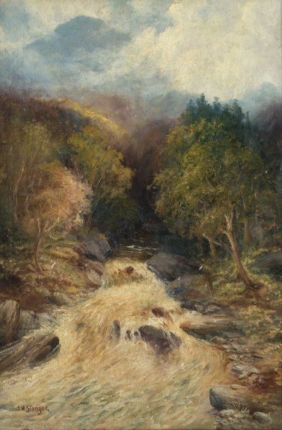 Horský les od J.H. Stanger
