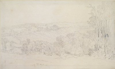 Vzdálený pohled na scénu zámeckého parku Lowther, 1809 od Joseph Mallord William Turner