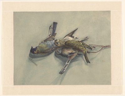 Zátiší se třemi mrtvými ptáky od J.N. Landré (signed by artist)