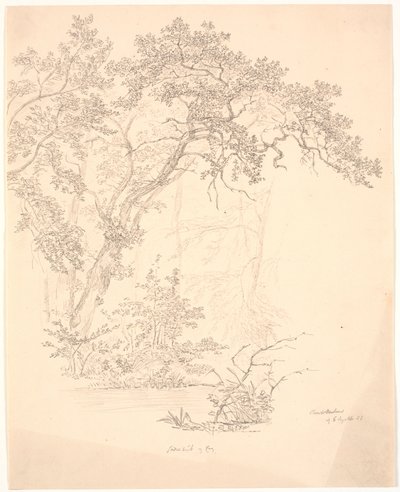Stromy od J.P. Møller