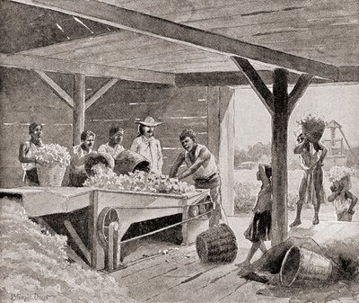 Otroci pracující s ginem na bavlnu z 19. století na plantáži v jižním státě Spojených států amerických z „Historie naší země“, vydané v roce 1905 (litho) od J. (after) Steeple Davis