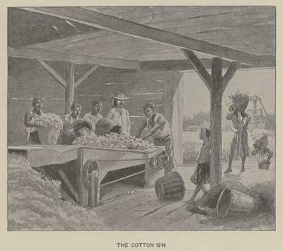 Žen na bavlnu (litho) od J. (after) Steeple Davis