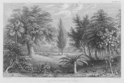 Ovocné a okrasné stromy (barevné rytí) od J. (after) Stewart