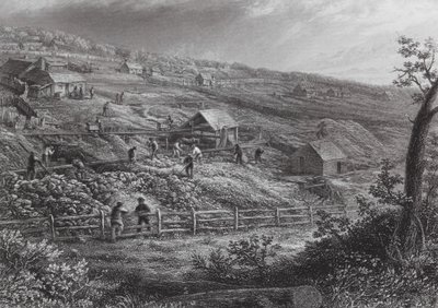 Austrálie: Concordia Gold Mines (rytina) od J. C. Armytage