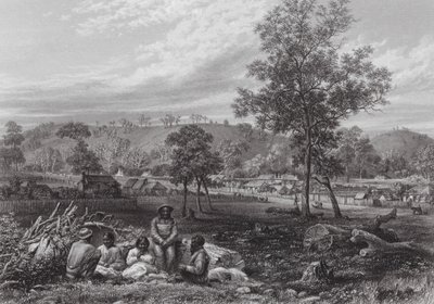 Austrálie: Mount Laura, Camperdown (rytina) od J. C. Armytage