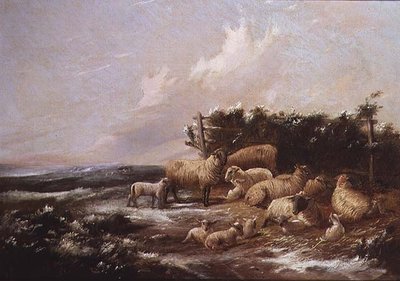 Sezóna jehňat od J. Duvall