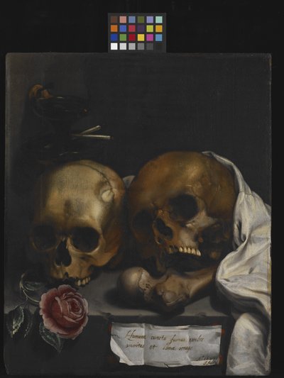 Zátiší Vanitas od J Falk