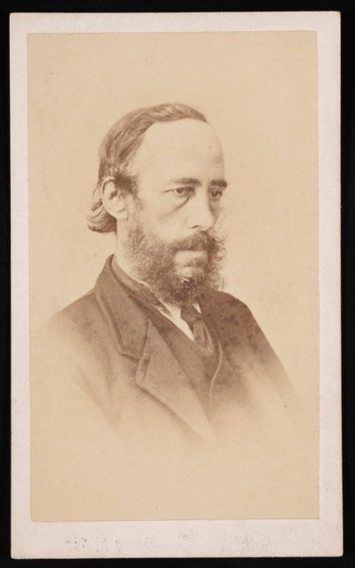 Portrét Jamese Crolla 1821-1890, před rokem 1876. od J McPherson