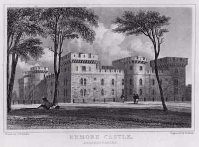 Enmore Castle, Somersetshire (rytina) od John Preston Neale