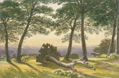 Hampstead Heath, Londýn, c1830 od J Powell
