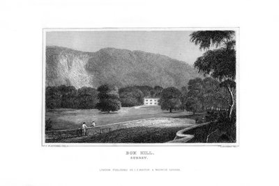 Box Hill, Surrey, 1829. od J. Rogers