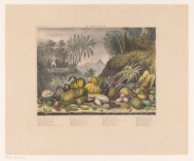 Jávské ovoce Les Fruits de Java (název na objektu) od J. Schnell