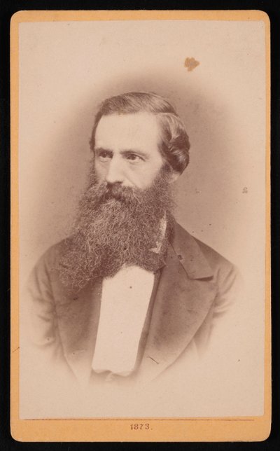 Portrét Mordecai Cubitt Cooke 1825-1914, 1873. od J Stegmann