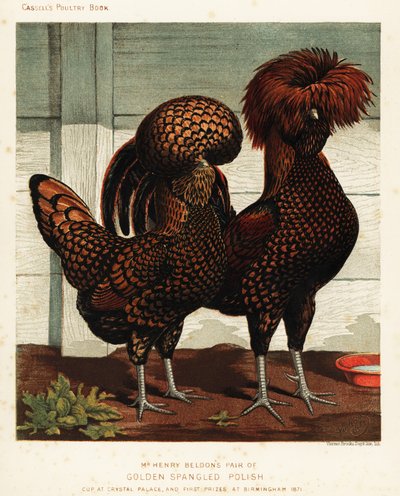 Golden spangled Polish cock and hen   1399617   cs       czech Successfully Translated  Original: Bookplate: Coat of Arms with Robert Hale, Esq. inscribed Translat: Bookplate: Coat of Arms with Robert Hale, Esq. inscribed 1231606 cs czech Successfully Tran od J. W. (after) Ludlow