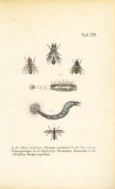 Kousavé a krev sající mouchy od J. W. Tenhaeff