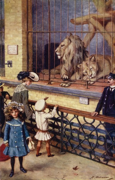 V domě lvů v ZOO (barevné lito) od J. Williamson