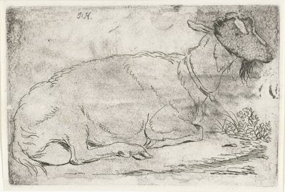 ležící koza od Jabes Heenck (signed by artist)