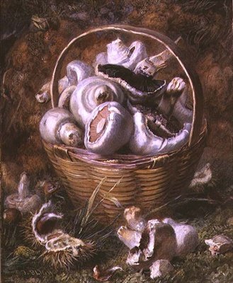 Houby (akvarel a kvaš) od Jabez Bligh
