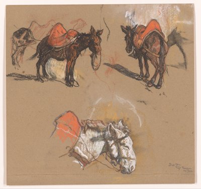 Studie oslů a muly na náměstí Grote Markt v Tangeru od Jac van Looij (signed by artist)