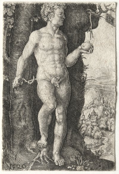 Adam, 1526. od Jacob Binck