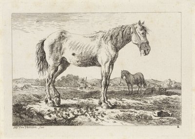 Stojící kůň v krajině Šest tisků po kresbách různých mistrů (název série) od Jacob Elias van Varelen