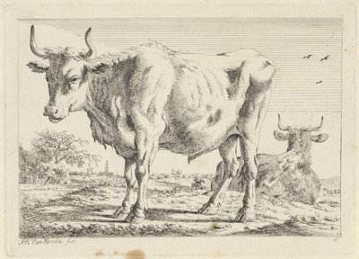 Stojící a ležící vůl Šest tisků po kresbách různých mistrů (název série) od Jacob Elias van Varelen