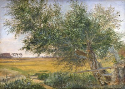 The Old Tree, 1842 (olej na papíře připevněný na kartě) od Jacob Gensler