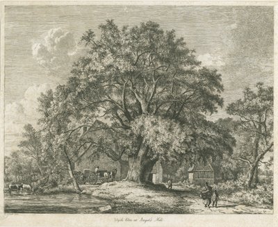 Blithfield - Wych Elm: lept, 1825 od Jacob George Strutt