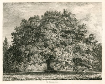 The Chandos Oak, Michendon House, Southgate, Londýn od Jacob George Strutt