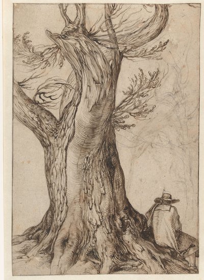 Studie kmene stromu od Jacob II de Gheyn