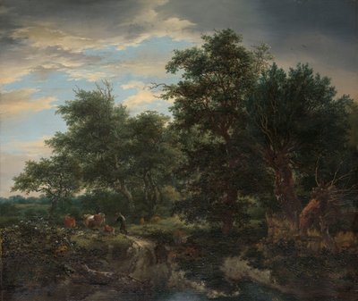 Lesní scéna od Jacob van Ruisdael