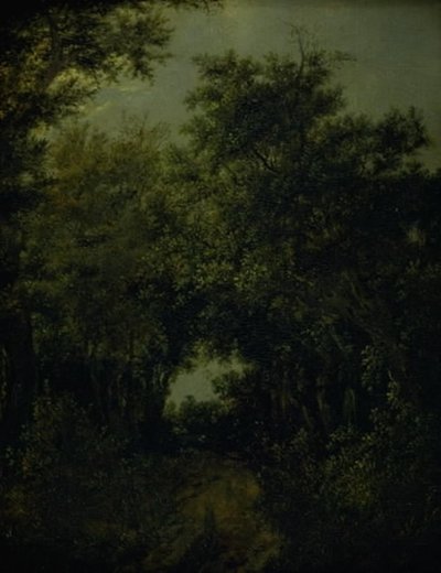 Cesta v dubovém lese od Jacob van Ruisdael