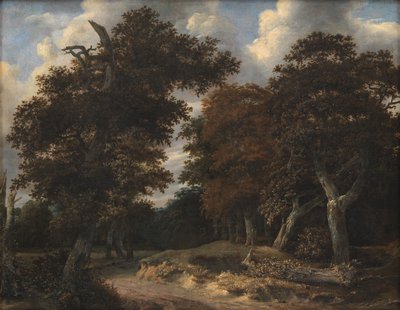 Cesta přes dubový les od Jacob van Ruisdael