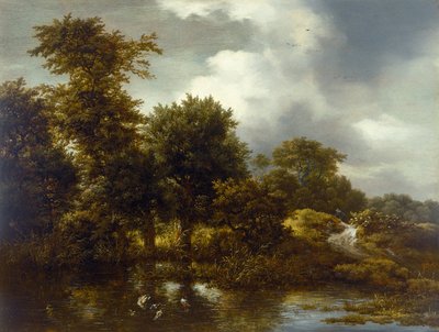 Zalesněná krajina s rybníkem, konec 40. let 17. století od Jacob van Ruisdael