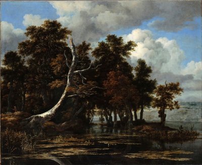 ""Duby u jezera s lekníny" Malba Jacoba Isaacksze van Ruisdaela (1628/29-1682) Olej na plátně Rozměr 116,6x142 cm Staatliche Museen, Berlín od Jacob van Ruisdael