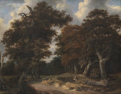 Cesta přes dubový les od Jacob van Ruisdael