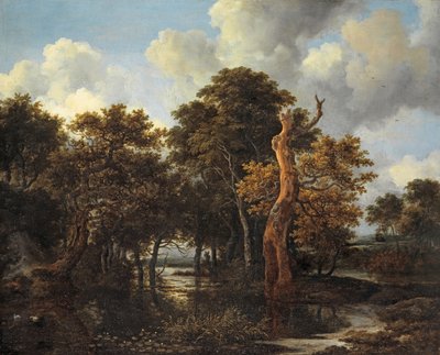 Wooden Marsh Landscape with Dead Tree, c.1665 od Jacob van Ruisdael