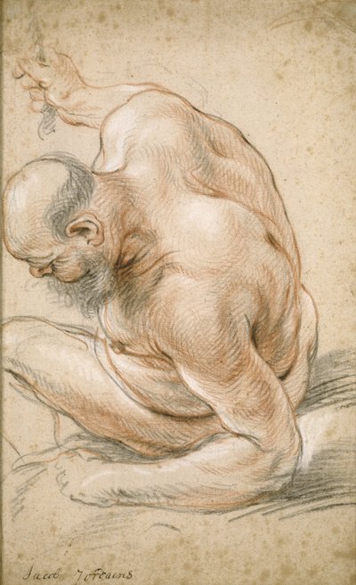 Nahý starý muž sedící, opřený o předloktí, čelem doleva, kolem 1640 od Jacob Jordaens