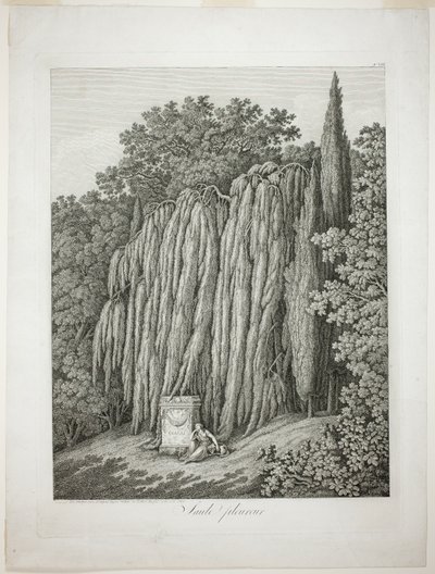 Plačící vrba od Jacob Philipp Hackert