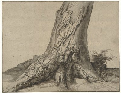 Studie kmene stromu s kořeny Studie kmene stromu s kořeny od Jacob de Gheyn (II)