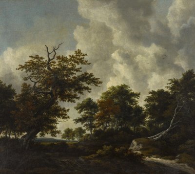 Boskovická krajina s velkým dubem a dvěma padlými buky u vodopádu od Jacob van Ruisdael