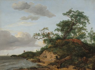 Duny u moře, 1648. od Jacob van Ruisdael