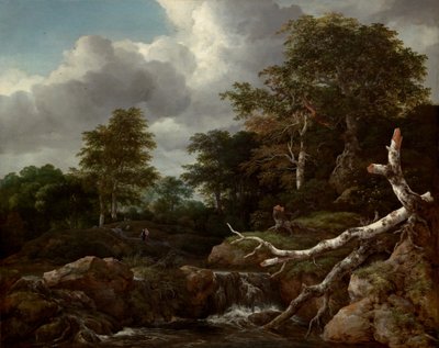 Lesní scéna, c. 1655. od Jacob van Ruisdael
