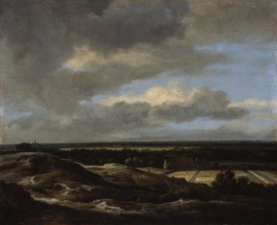 Pohled na Haarlem z dun na severozápadě od Jacob van Ruisdael