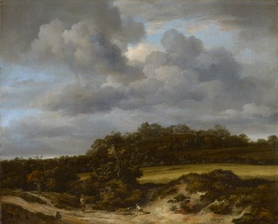 Kukuřičné pole od Jacob van Ruisdael