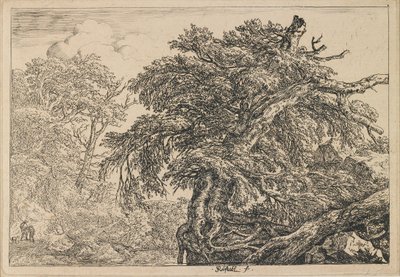  od Jacob van Ruisdael