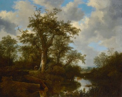Zalesněná krajina s dobytkem překračujícím potok od Jacob van Ruisdael